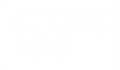 Stems + Co Logo