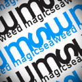 Magicseaweed logo