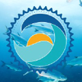 Stream2Sea Logo