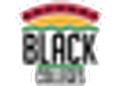 Support Black Colleges Logo