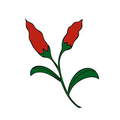 Sweet Paprika Designs Logo
