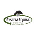 System Fencing Logo