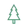 Tall Tree Logo
