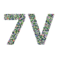 The 7 Virtues Logo