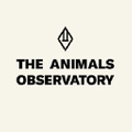 The Animals Observatory Logo