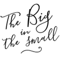 The Big In The Small Logo