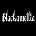 THE BLACKAMELLIA Logo