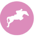 The Fabulous Horse Logo