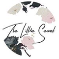 The Little Secret Boutique Logo