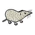 The Naughty Shrew Logo