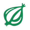 The Onion USA Logo