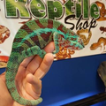 The Reptile Shop Logo