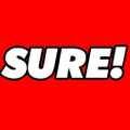 The Sure Store Logo