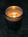 Tiger Lily Candle Co logo