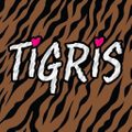 Tigris New York Logo