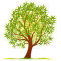 Tree Nursery Logo