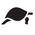 Tortoise Denim Logo