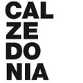 Calzedonia USA Logo