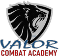 Valor Personal Defense Systems Logo