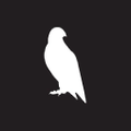 Vape Falcon Logo