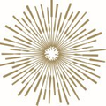 Viceroy Chicago Logo