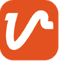 Viribus Logo