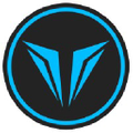 Vision Lacrosse Logo