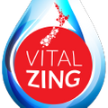VitalZing Logo