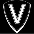 vizinx Logo