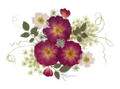 Pressed Flower Art Logo