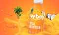 vybey logo