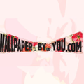 WallPaper By You USA Logo