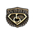 Wheelchair Bodybuilding, Inc Logo