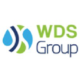 WDS Group Logo