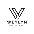 Weylyn USA Logo