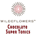 Wildeflowers logo