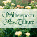 Witherspoon Rose Logo