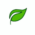 YAYA Organics Logo