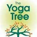 The Yoga Tree Logo