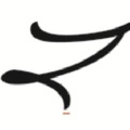 The Zaahara Telekung Logo