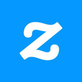 Zazzle USA Logo
