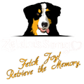 Zelda's Song Logo