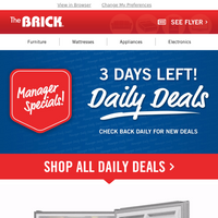 The Brick email thumbnail