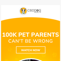 CBD Dog Health email thumbnail