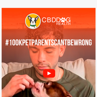 CBD Dog Health email thumbnail