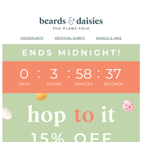 Beards & Daisies email thumbnail