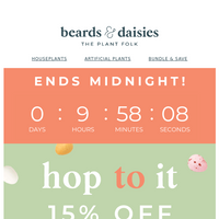 Beards & Daisies email thumbnail