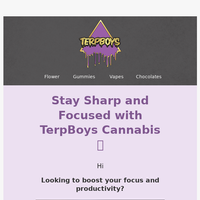 TerpBoys LLC email thumbnail