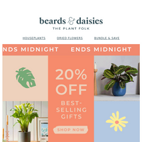 Beards & Daisies email thumbnail