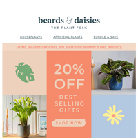 Beards & Daisies email thumbnail